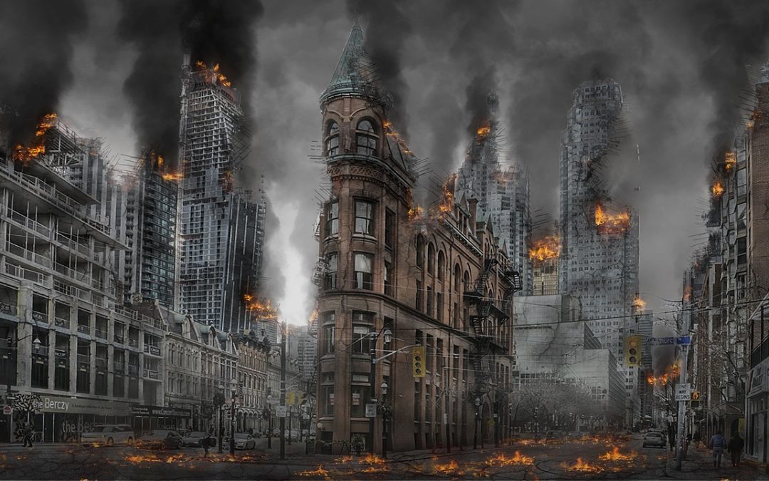 Evakuasi Ular di Pelabuhan